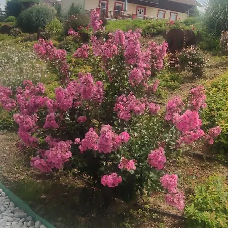 Bellavitavilla2020 Villa *