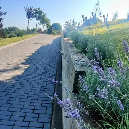 Villa Bellavitavilla2020