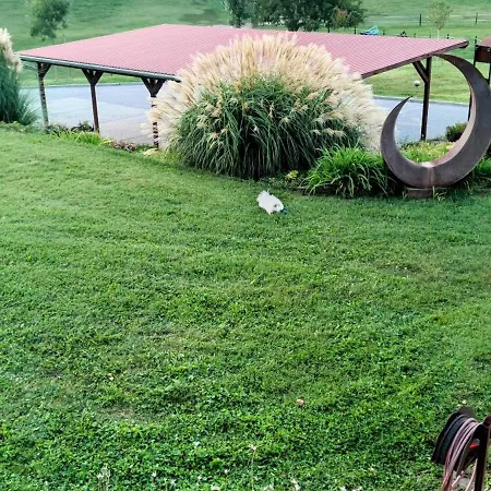 Bellavitavilla2020 Villa Siofok