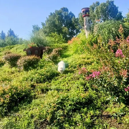 Villa Bellavitavilla2020