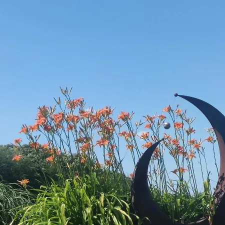 Bellavitavilla2020 Villa