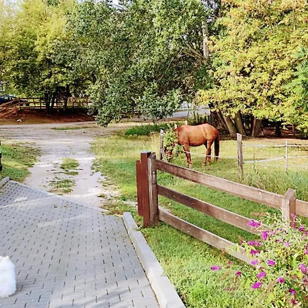 Villa Bellavitavilla2020 Siofok